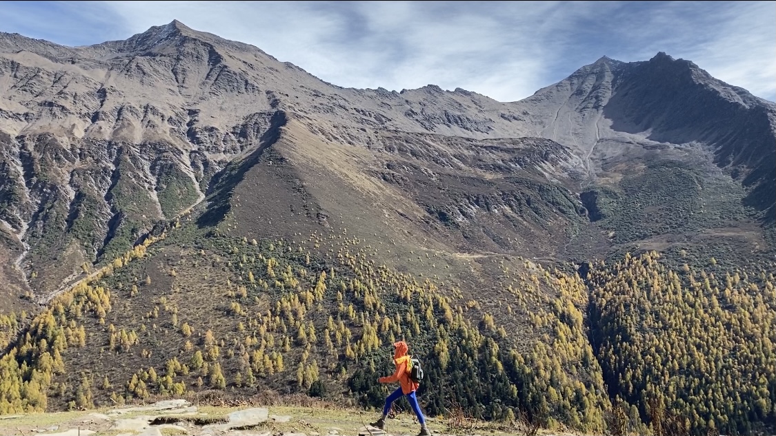 快手点赞自助平台业务下单